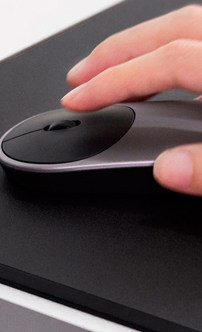 mouse