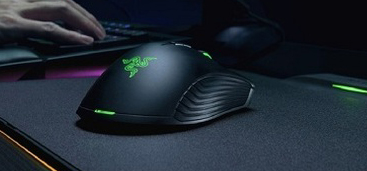 mouse