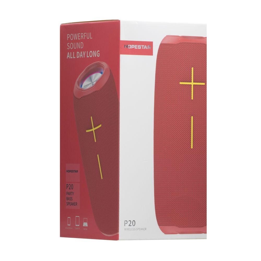 Купить КОЛОНКА HOPESTAR P20_3