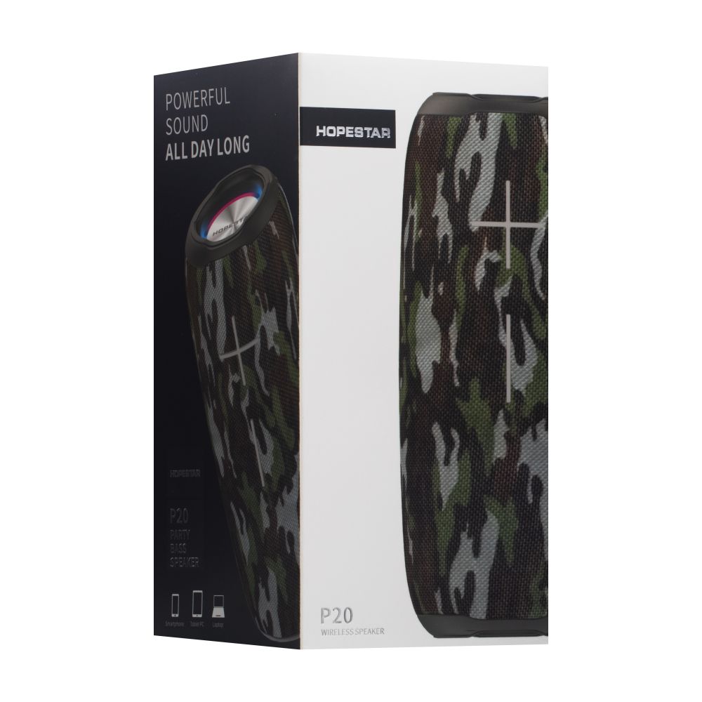 Купить КОЛОНКА HOPESTAR P20_4