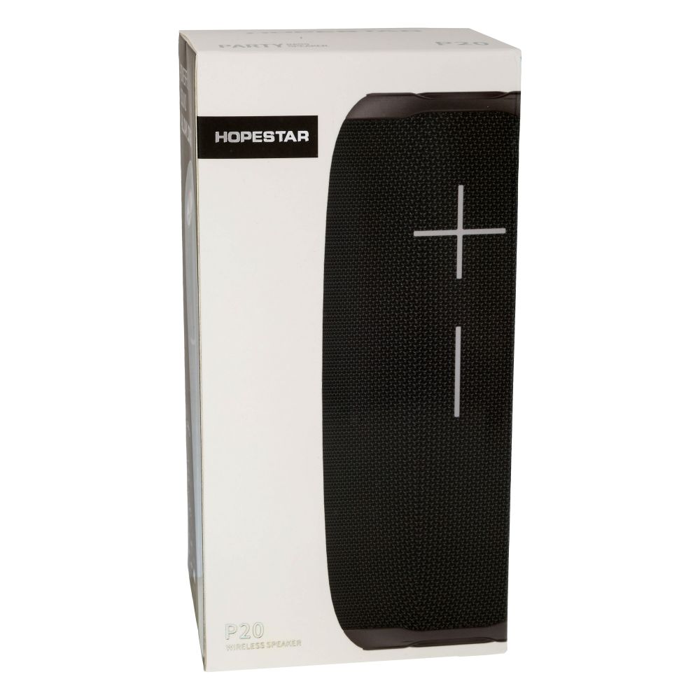 Купить КОЛОНКА HOPESTAR P20_2