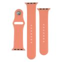 Купить РЕМЕШОК ДЛЯ APPLE WATCH BAND SILICONE TWO-PIECE 38/40/41 MM_20