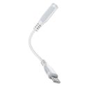 Купить ПЕРЕХОДНИК BOROFONE BV17 TYPE-C DIGITAL 3.5 AUDIO CONVERTER_3