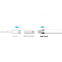 Купить АДАПТЕР ДЛЯ СТИЛУСА APPLE PENCIL 1ST GEN LIGHTNING (FEMALE) TO TYPE-C (FEMALE)_3