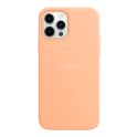 Купить ЧЕХОЛ SILICONE CASE WITH MAGSAFE ДЛЯ IPHONE 12 PRO MAX_28