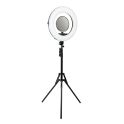 Купить ЛАМПА FILL LIGHT FD-480II