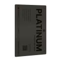 Купить ПОШТУЧНО ГИДРОГЕЛЬ ПЛЁНКА INOBI PLATINUM PX-009 JAPANESE / (МАТОВАЯ ПРИВАТНАЯ 360)