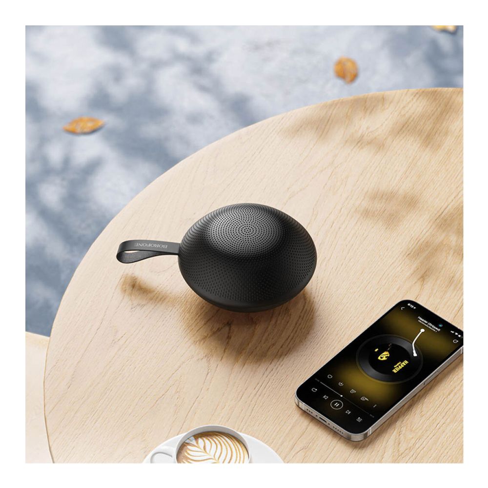 Купить КОЛОНКА BOROFONE BR48_5