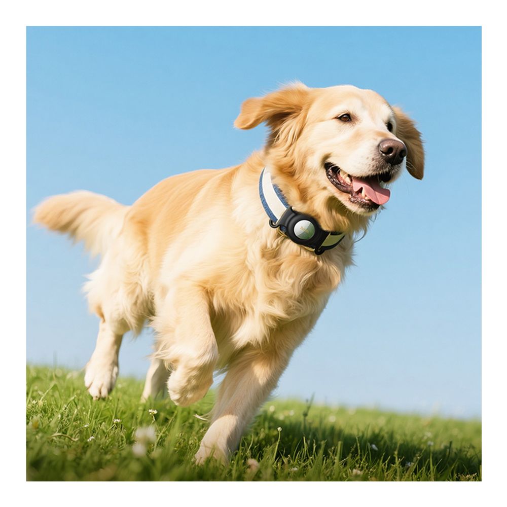 Купить УМНЫЙ БРЕЛОК HOCO E91С ДЛЯ ЖИВОТНЫХ FOR IP_10