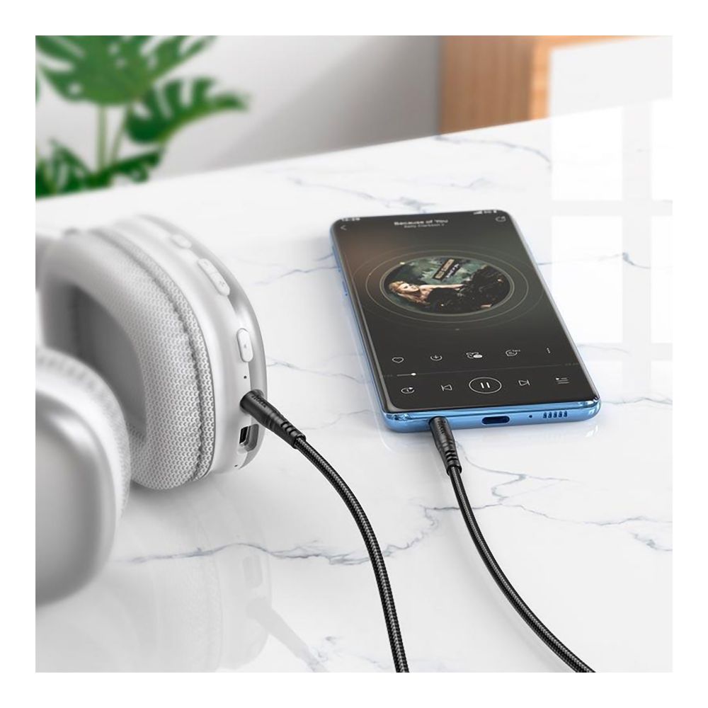 Купить AUX HOCO UPA24_5